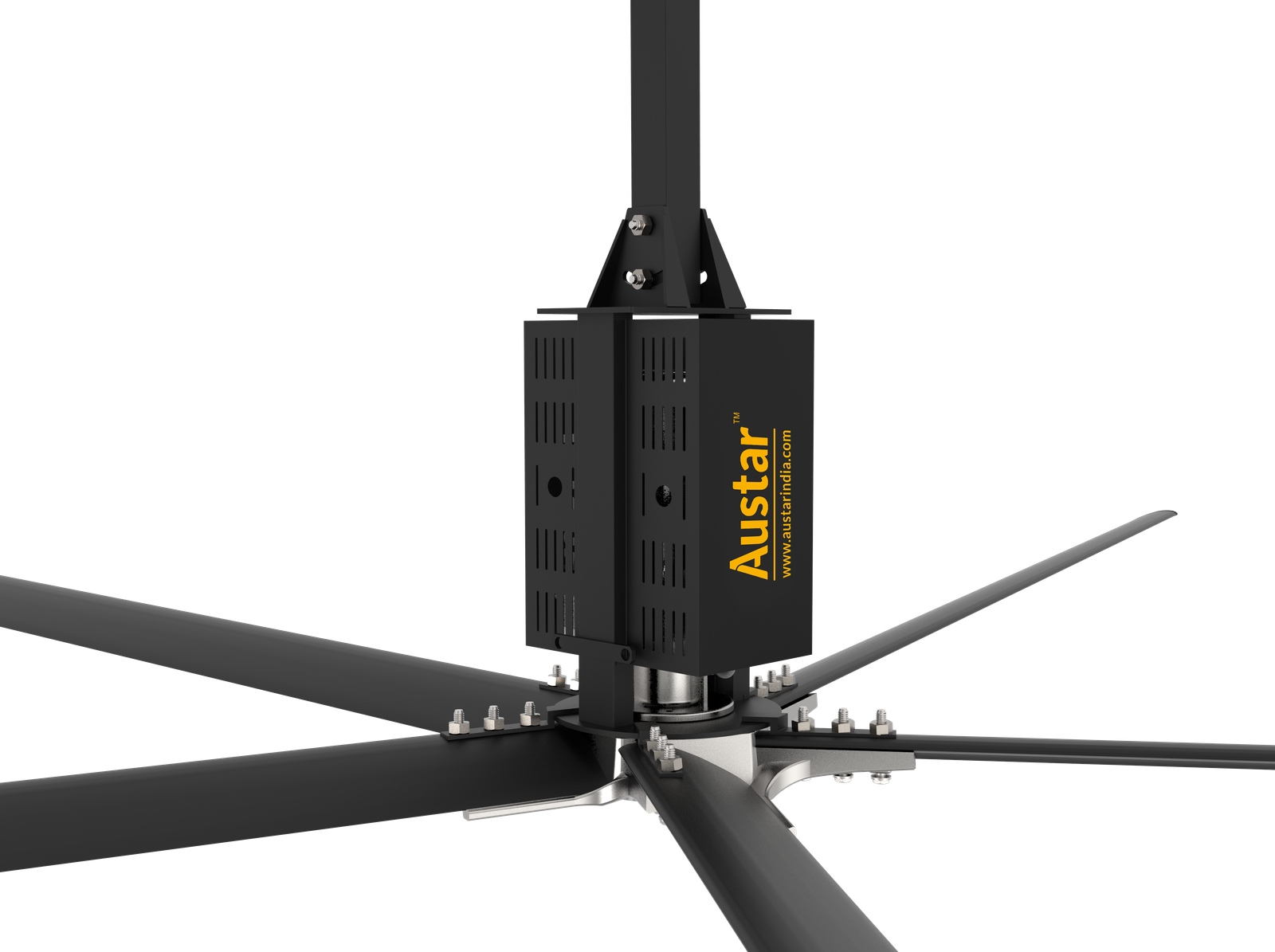 img/AUSTAR-FAN_7.png
